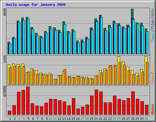Daily usage for January 2026
