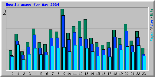 Hourly usage for May 2024