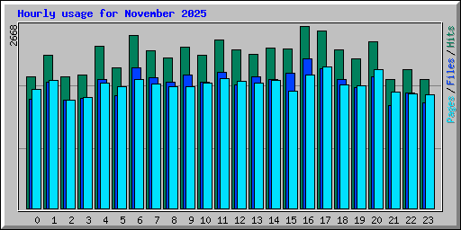 Hourly usage for November 2025