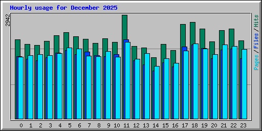 Hourly usage for December 2025