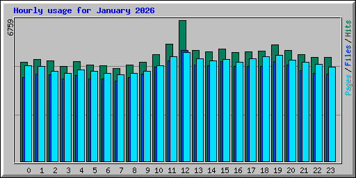 Hourly usage for January 2026