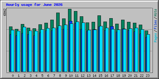 Hourly usage for June 2026