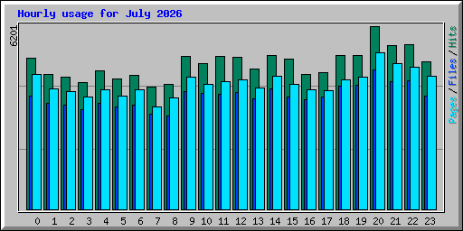 Hourly usage for July 2026