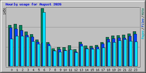 Hourly usage for August 2026
