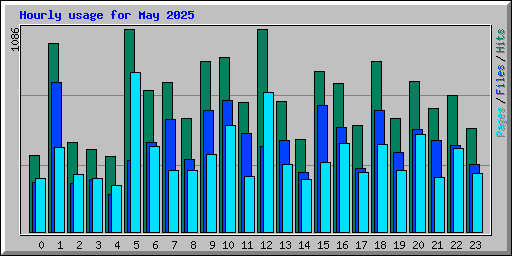 Hourly usage for May 2025