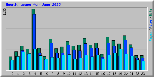 Hourly usage for June 2025